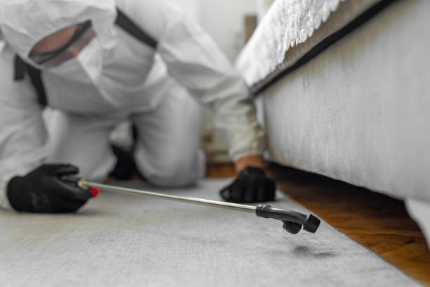 Professional Bed Bug Control technician working in Rogers County County, OK